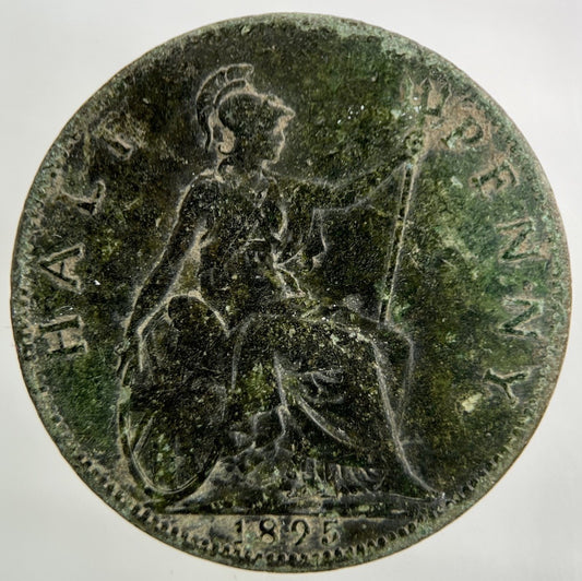 1895 Victoria Half - Penny Coin | Collectable Grade