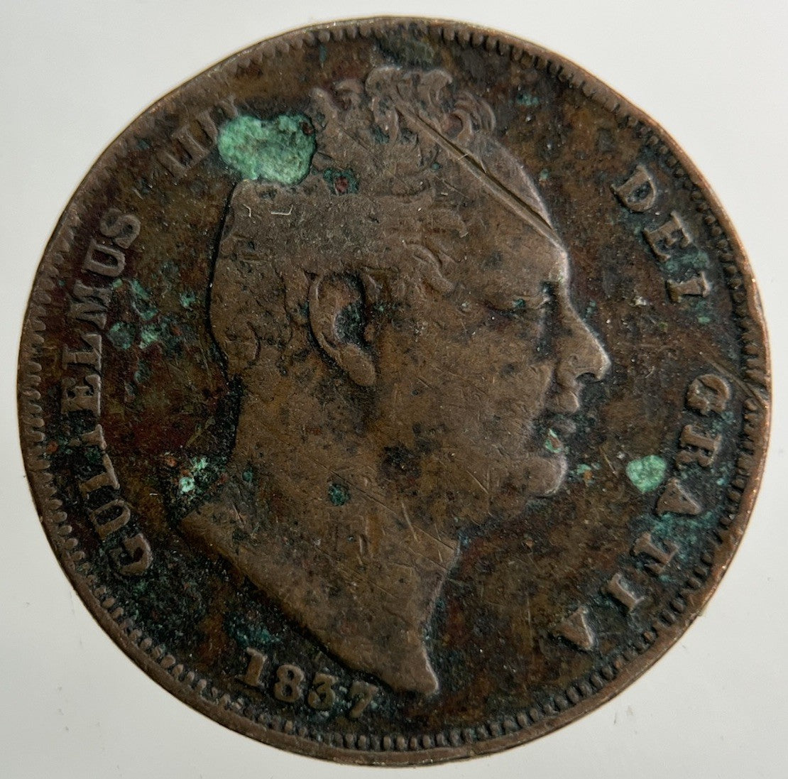 1837 William IV Farthing Coin | Collectable Grade