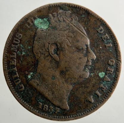 1837 William IV Farthing Coin | Collectable Grade