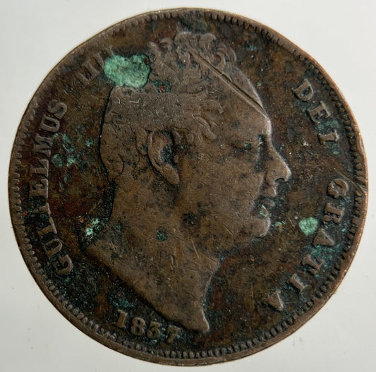 1837 William IV Farthing Coin | Collectable Grade