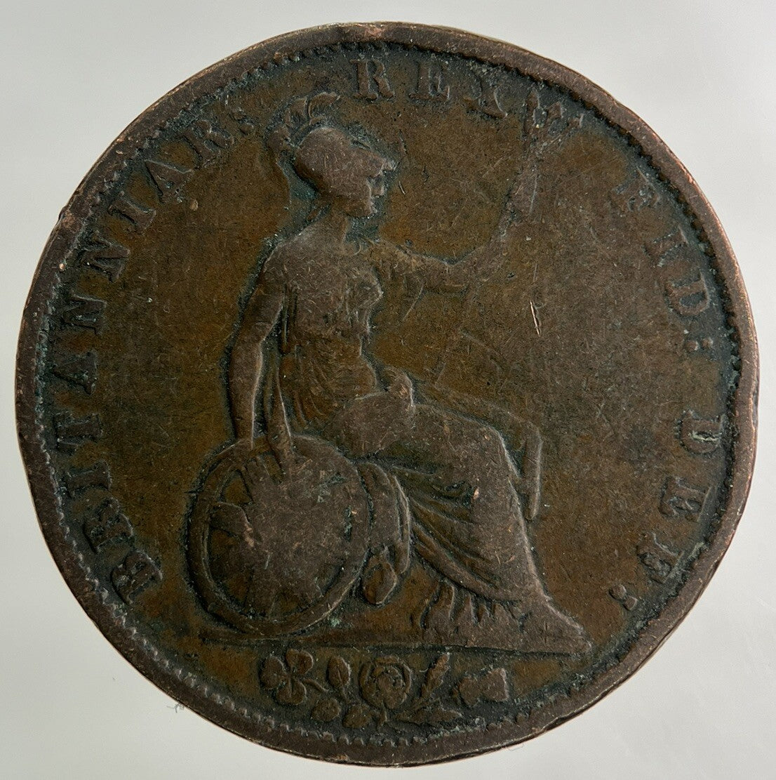 1831 William IV Half - Penny Coin | Collectable Grade