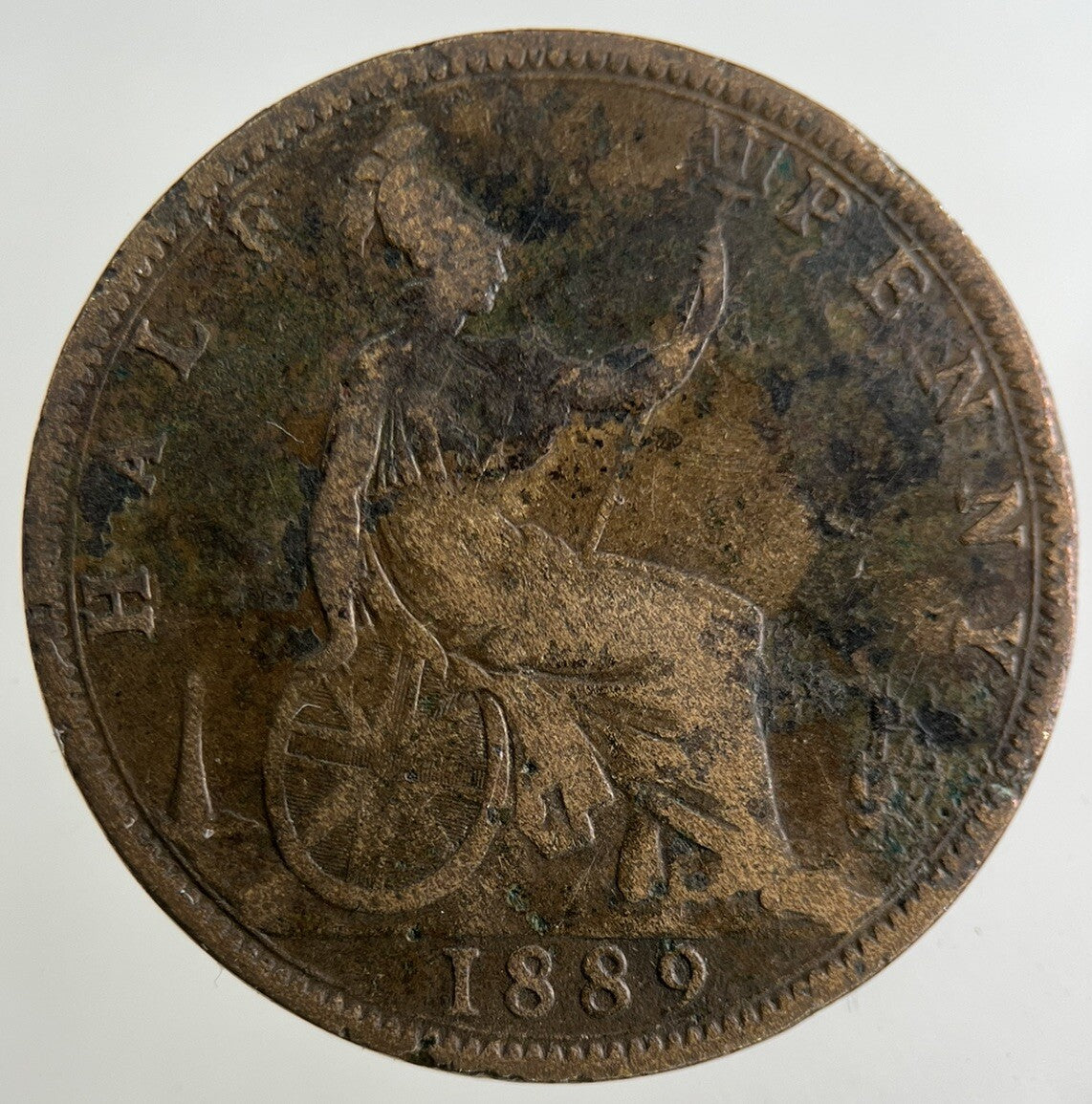 1889 Victoria Half - Penny Coin | Collectable Grade