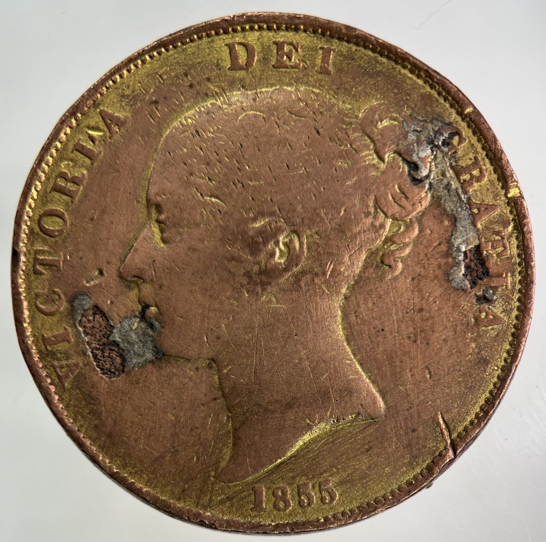 1855 Ex - Mount Victoria One Penny Coin | Collectable Grade