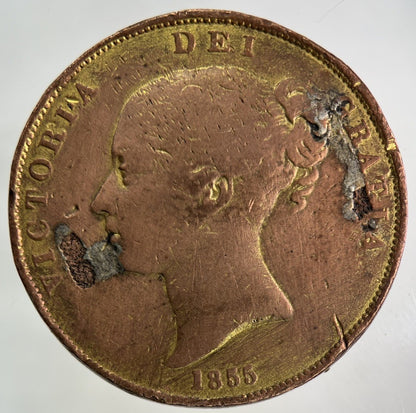 1855 Ex - Mount Victoria One Penny Coin | Collectable Grade