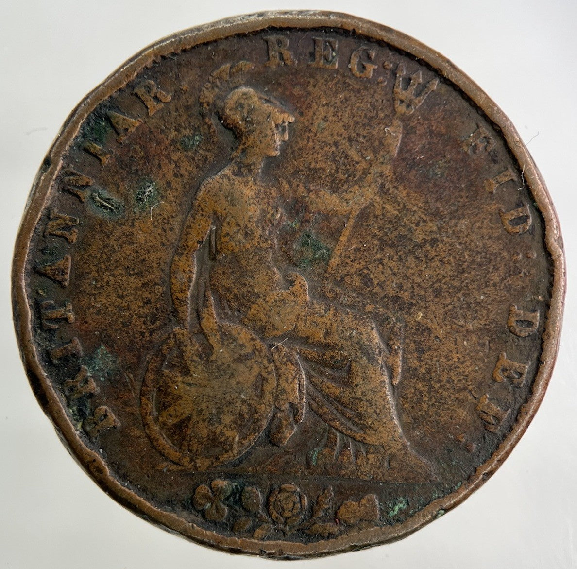 1854 Victoria Half - Penny Coin | Collectable Grade