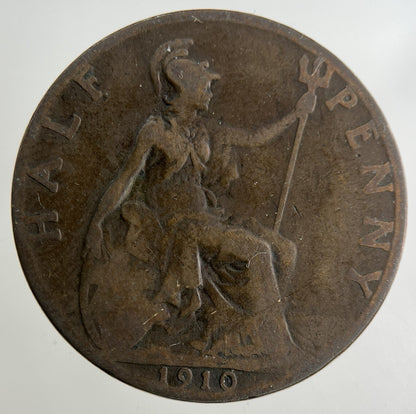1910 Edward VII Half - Penny Coin | Collectable Grade