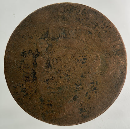 Irish Half - Penny Coin | Collectable Grade