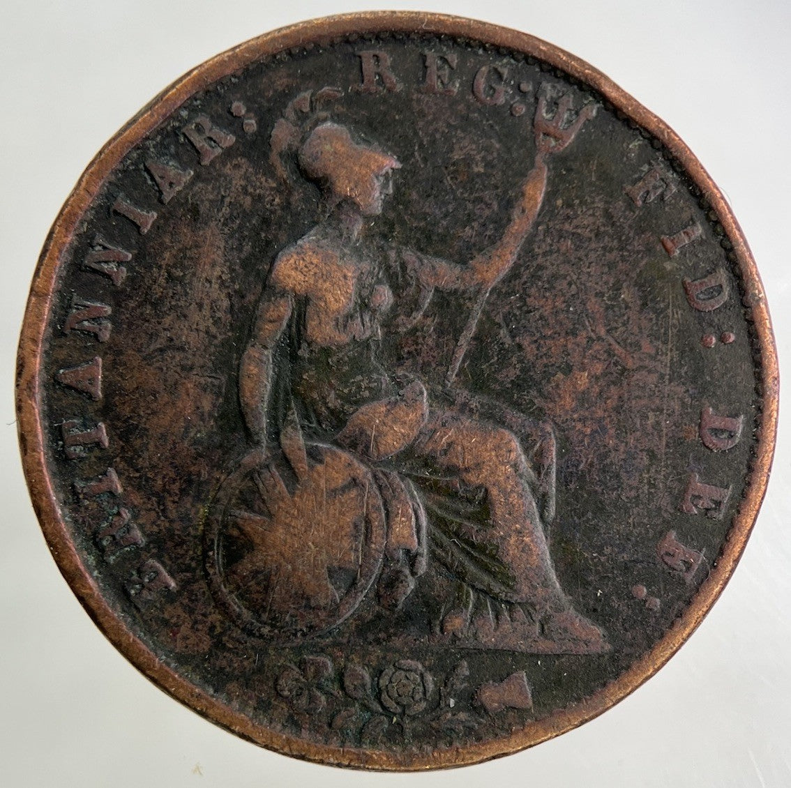 1853 Victoria Half - Penny Coin | Collectable Grade