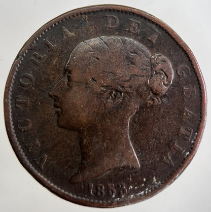 1853 Victoria Half - Penny Coin | Collectable Grade | a8995
