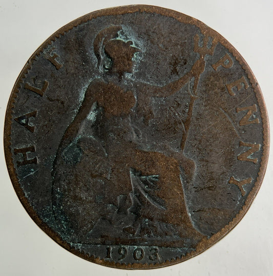 1903 Edward VII Half - Penny Coin | Collectable Grade