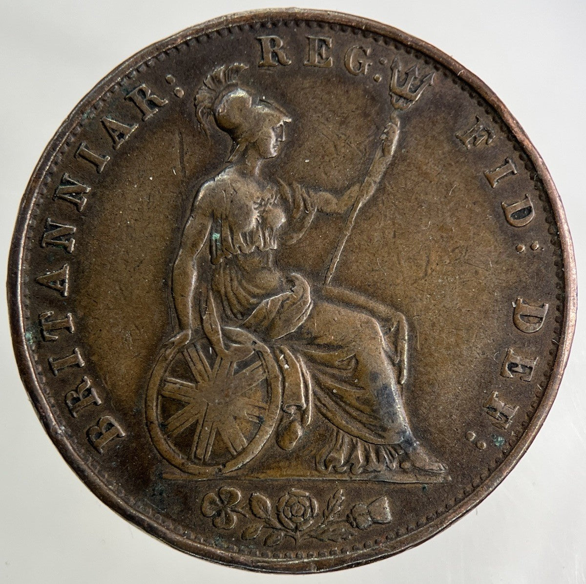 1853 Victoria Half - Penny Coin | Fine Collectable Grade