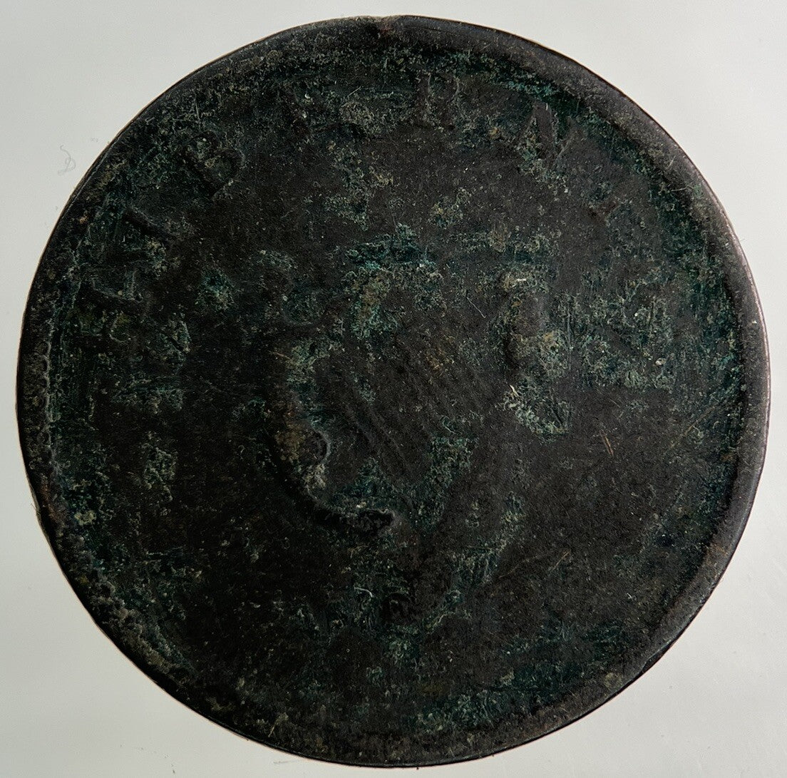 Irish Half - Penny Coin | Collectable Grade