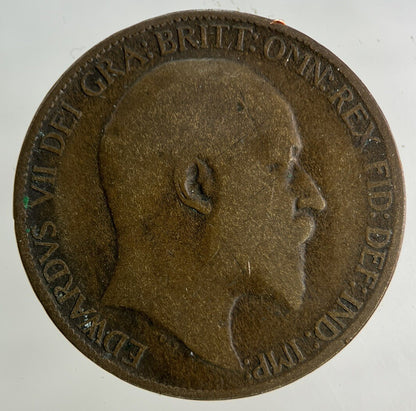 1908 Edward VII Half - Penny Coin | Collectable Grade