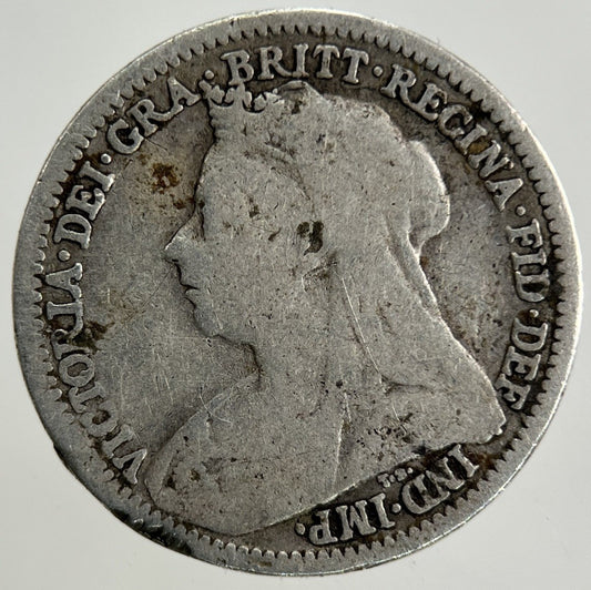 1900 Victoria Threepence Silver Coin | Collectable Grade