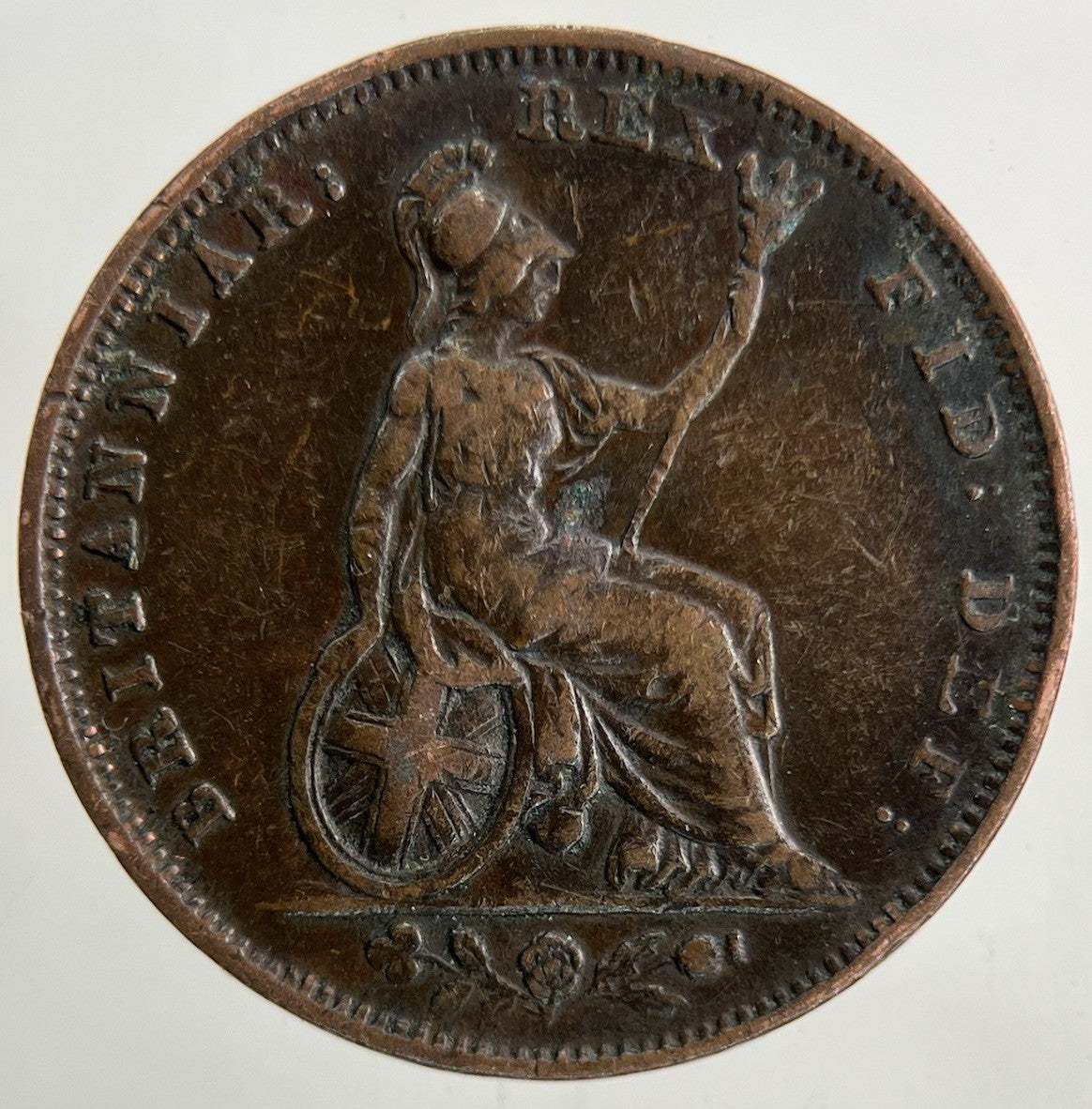 1831 William IV Farthing Coin | Fine Collectable Grade