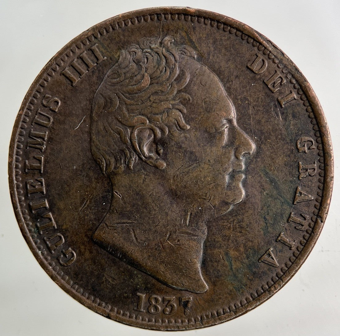 1837 William IV Half - Penny Coin | Very High Grade
