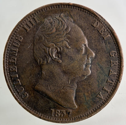 1837 William IV Half - Penny Coin | Very High Grade