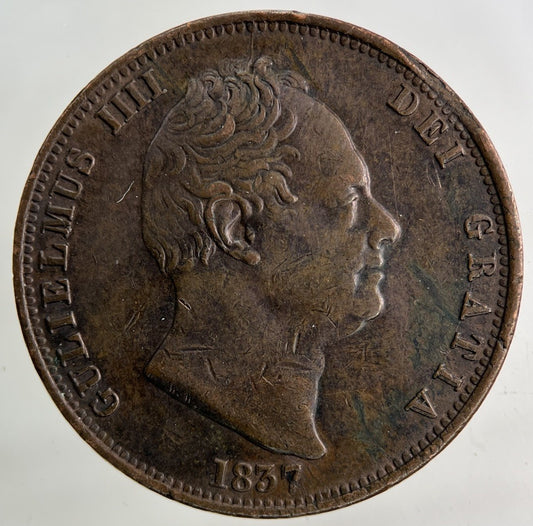1837 William IV Half - Penny Coin | Very High Grade