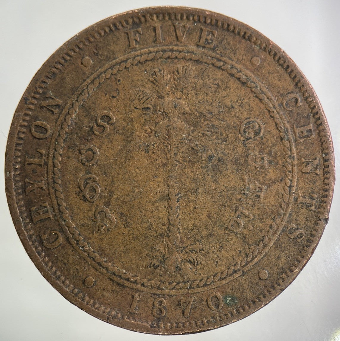 1870 Ceylon 5 Cents Coin | Collectable Grade