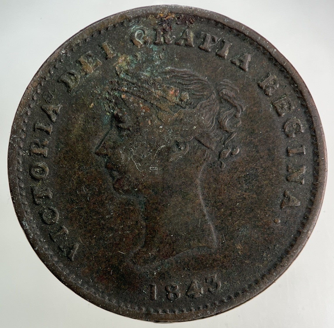 1843 Canada New Brunswick Half - Penny Coin | Fine Collectable Grade