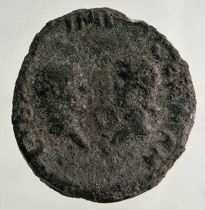 Ancient Roman Silver Denarius Coin | Collectable Grade