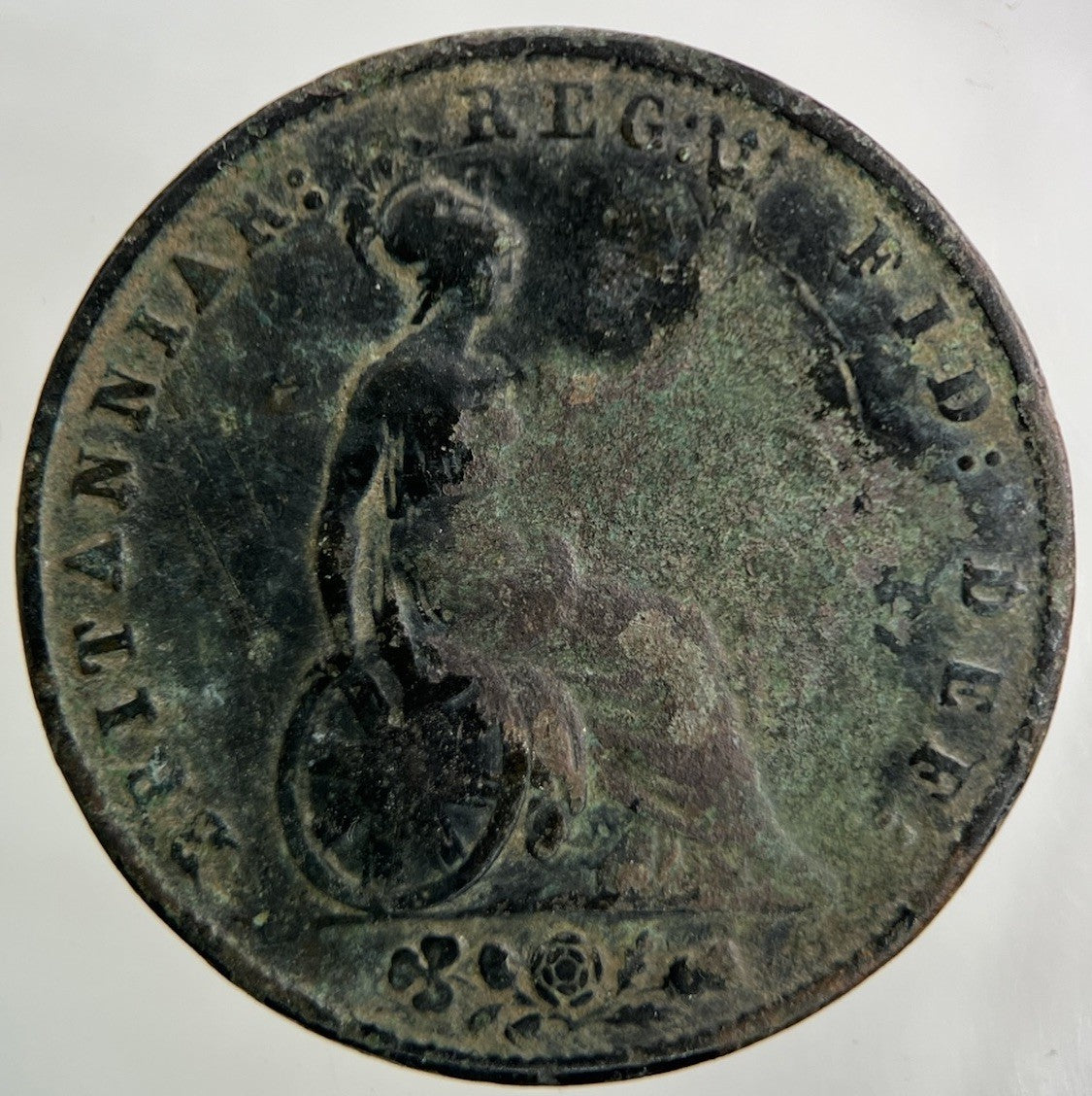1853 Victoria Half - Penny Coin | Collectable Grade