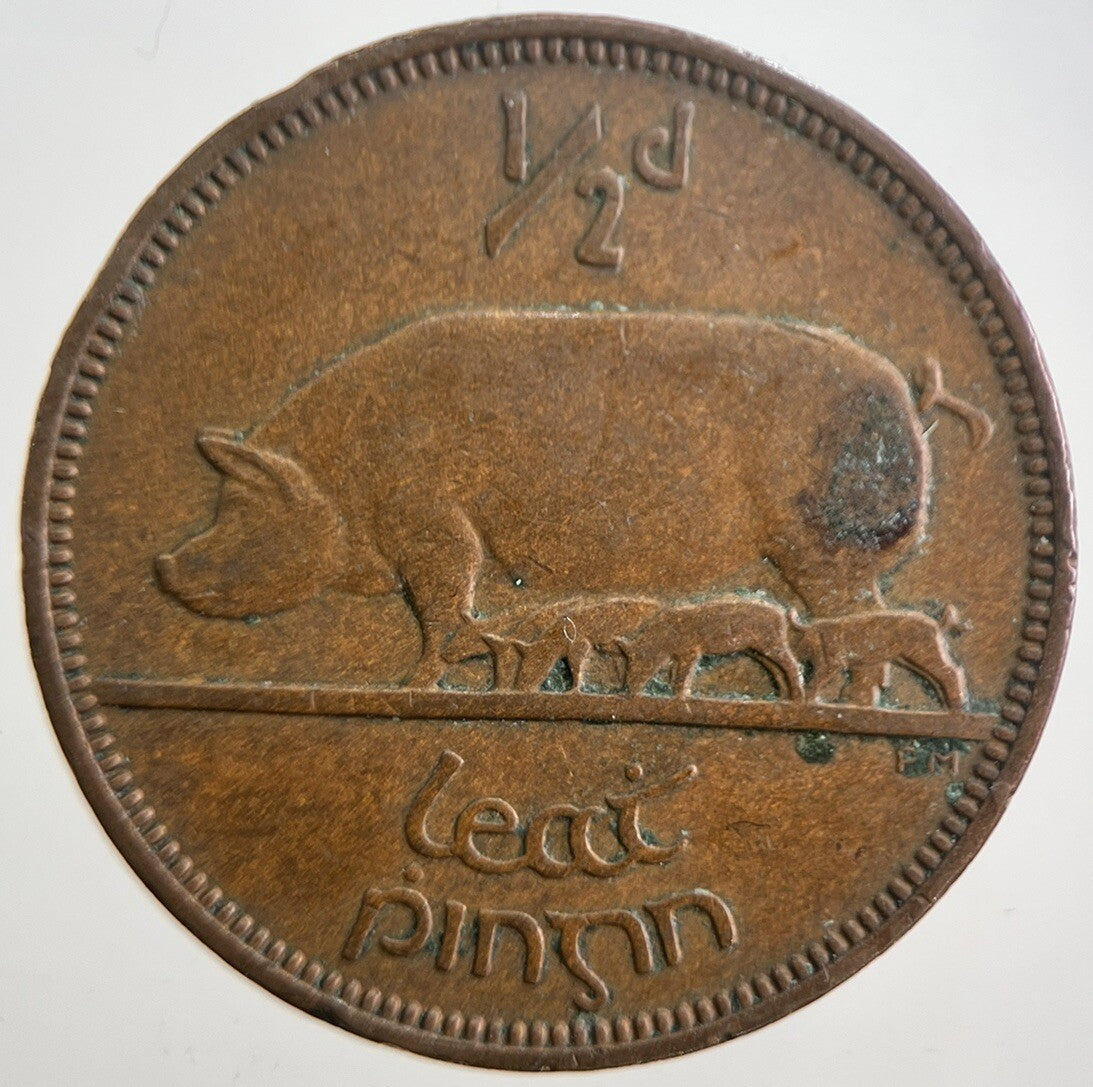 1953 Irish Half - Penny 1/2d Pig Coin | Very High Grade