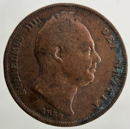 1834 William IV Farthing Coin | Collectable Grade