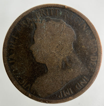 1900 Victoria Half - Penny Coin | Collectable Grade