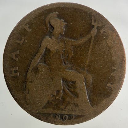 1902 Edward VII Half - Penny Coin | Collectable Grade