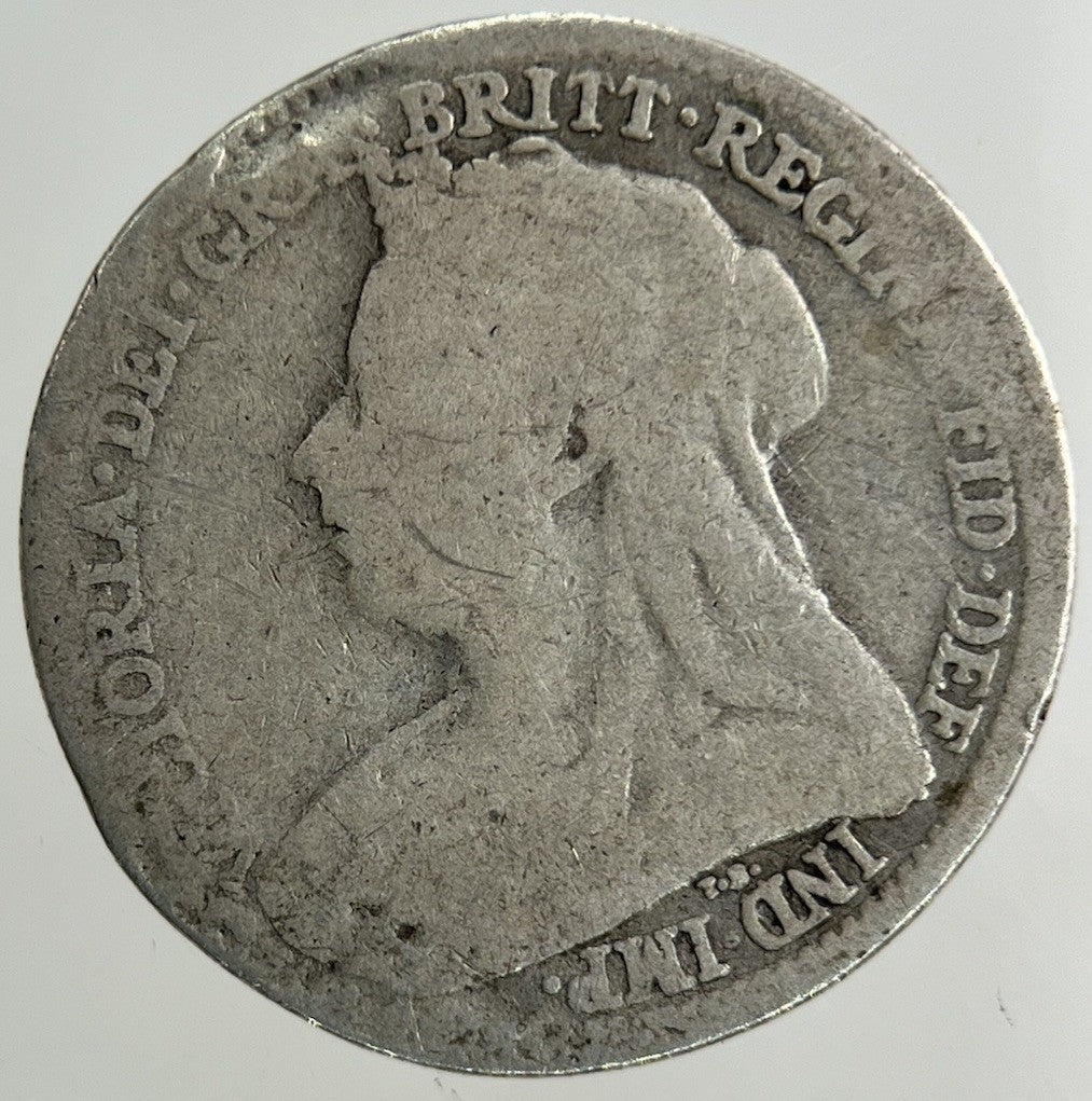 1894 Victoria Threepence Silver Coin | Collectable Grade