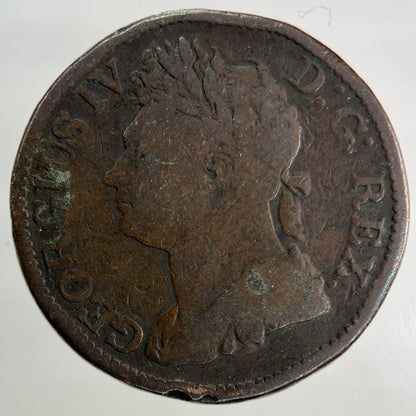 1822 Irish Half - Penny Coin | Collectable Grade