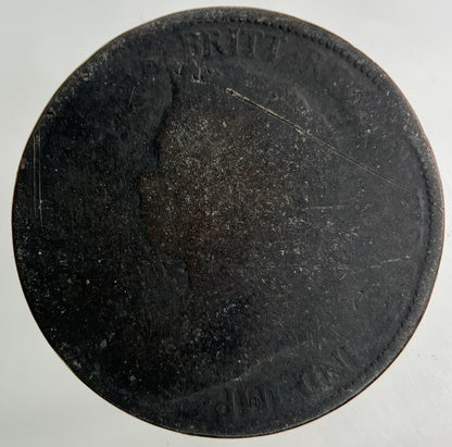 1900 Victoria Half - Penny Coin | Worn Grade