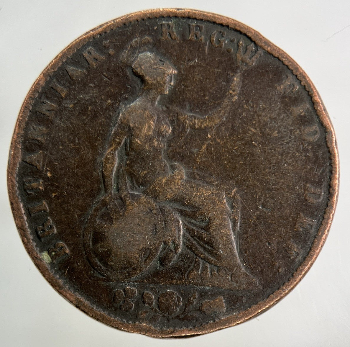1854 Victoria Half - Penny Coin | Collectable Grade