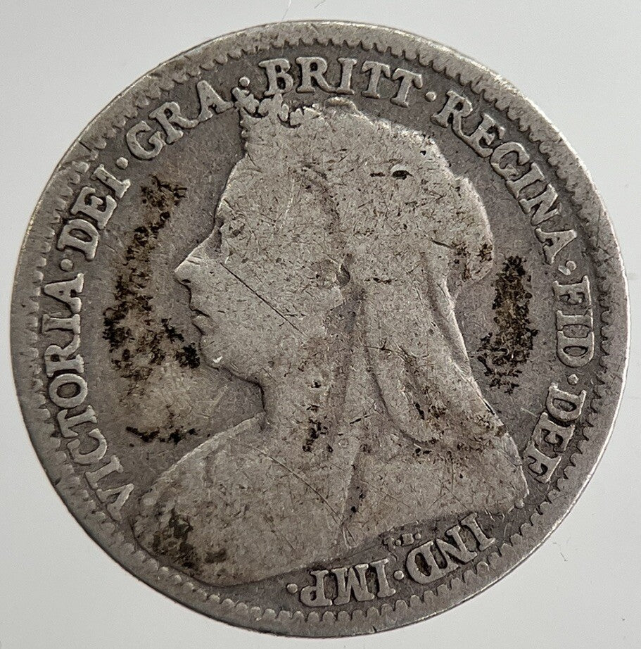 1895 Victoria Threepence Silver Coin | Collectable Grade | a8805