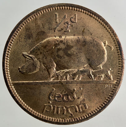 1966 Irish Half - Penny Coin | Very Fine Grade