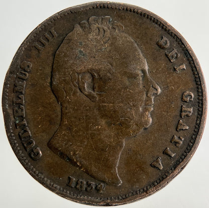 1834 William IV Farthing Coin | Collectable Grade