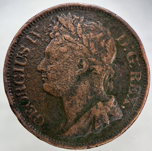 1823 Irish One Penny Coin | Fine Collectable Grade