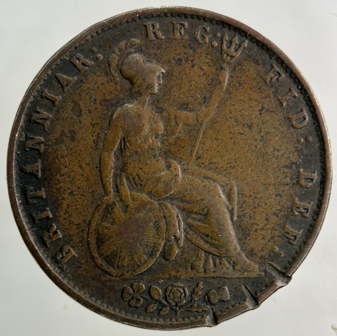 1853 Victoria Half - Penny Coin | Fine Collectable Grade