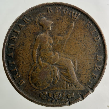 1853 Victoria Half - Penny Coin | Fine Collectable Grade