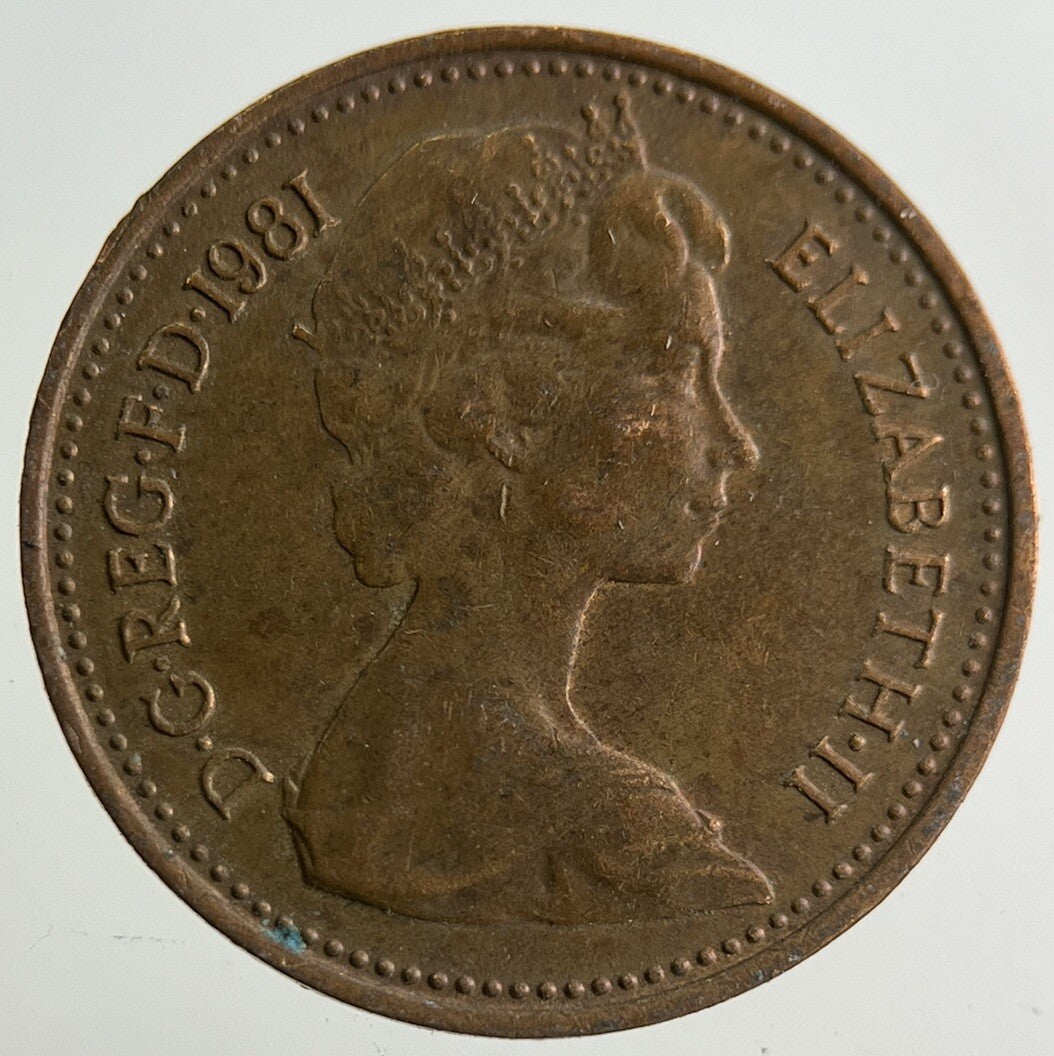 1981 Elizabeth II 2nd New 1/2 Half - Penny Coin | Fine Collectable Grade
