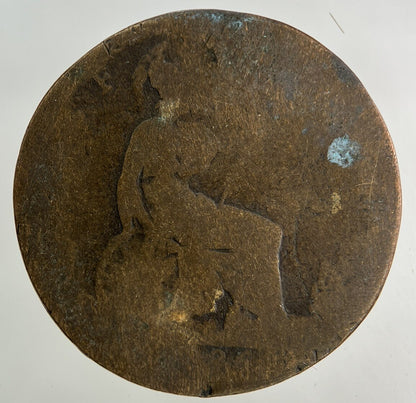 1886 Victoria Half - Penny Coin | Worn Grade