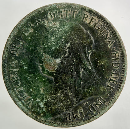1895 Victoria Half - Penny Coin | Collectable Grade