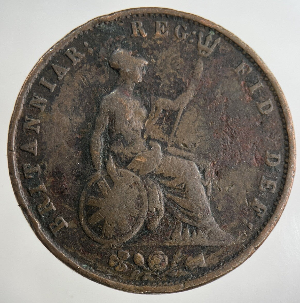 1854 Victoria Half - Penny Coin | Collectable Grade