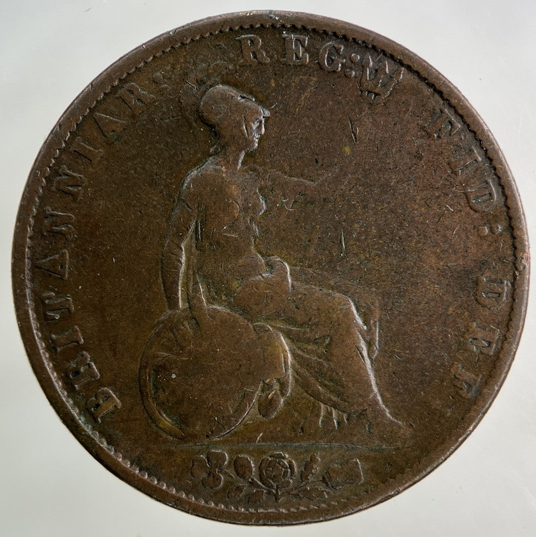 1854 Victoria Half - Penny Coin | Collectable Grade