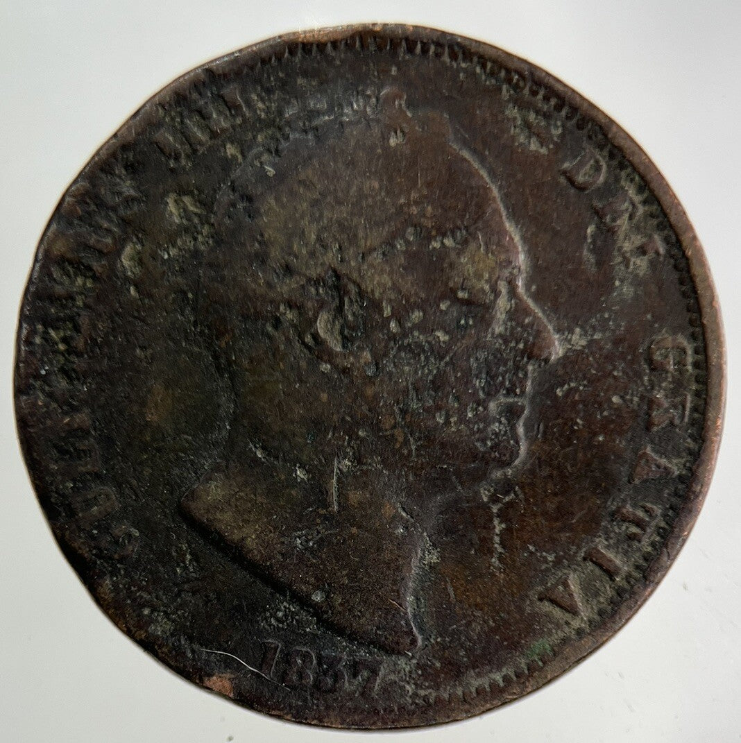 1837 William IV Half - Penny Coin | Collectable Grade