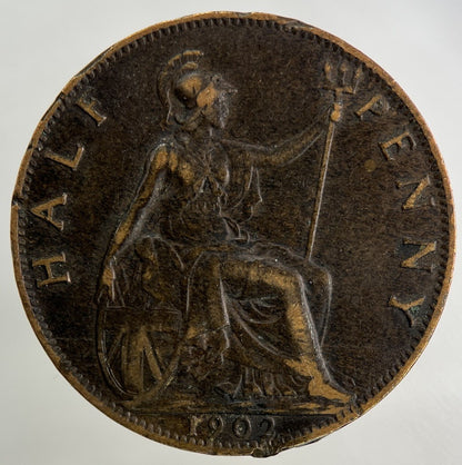 1902 Edward VII Half - Penny Coin | Fine Collectable Grade