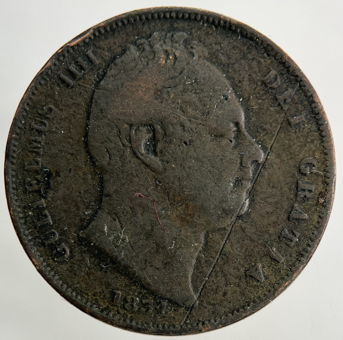 1834 William IV Farthing Coin | Collectable Grade