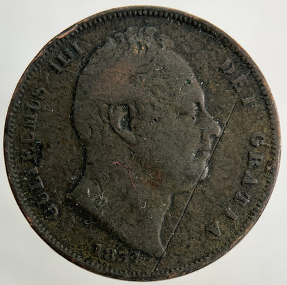 1834 William IV Farthing Coin | Collectable Grade