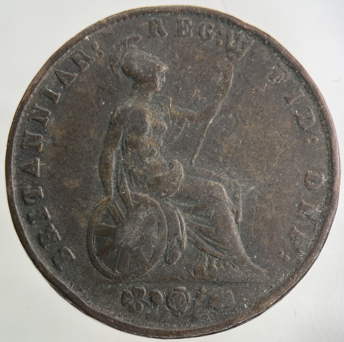 1853 Victoria Half - Penny Coin | Collectable Grade